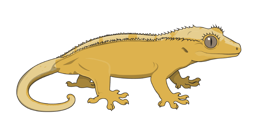 A gecko showing Yellow Base