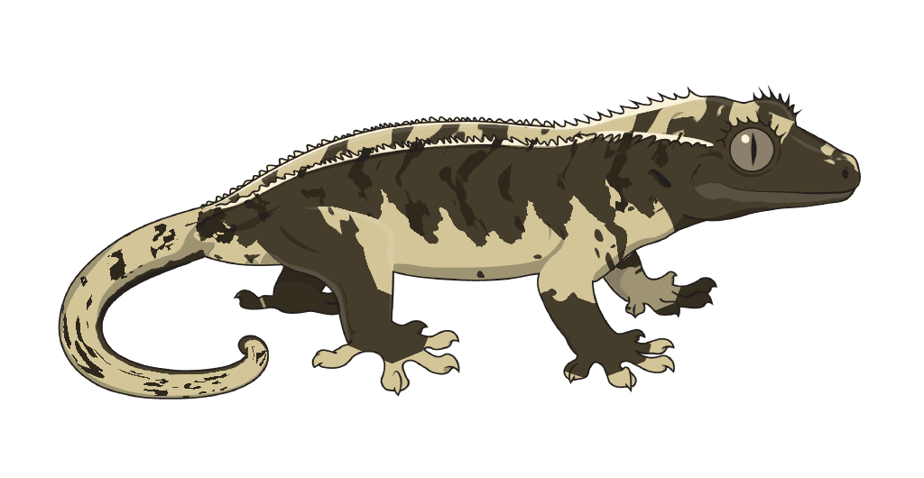 Brindle: broken tiger, on a Brindlequin