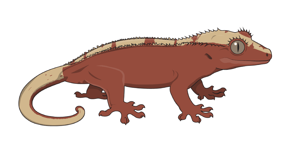 A gecko showing Red Base