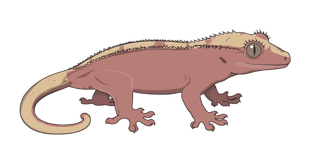 After: Hypo on Red Base makes Pink