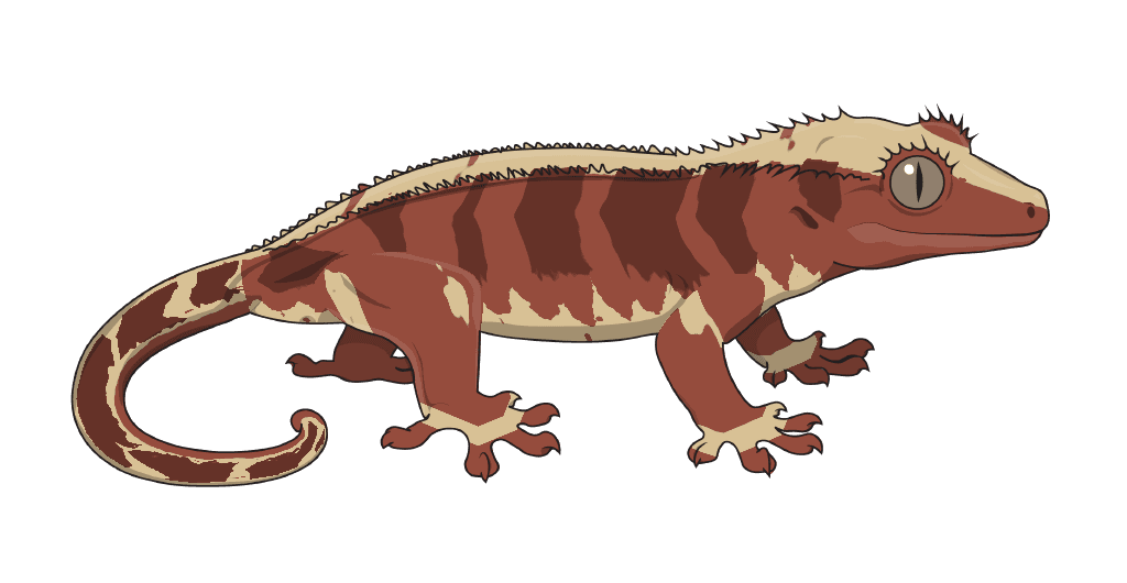 Red tiger flame