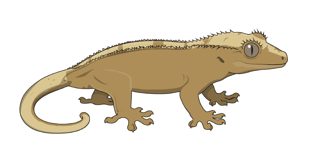 A gecko showing Phantom
