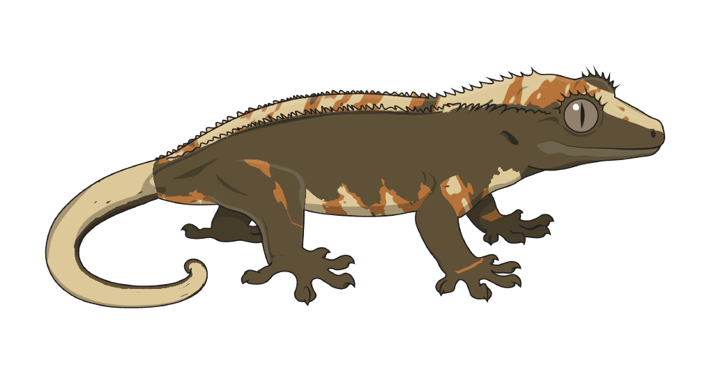 Olive tri-colour flame